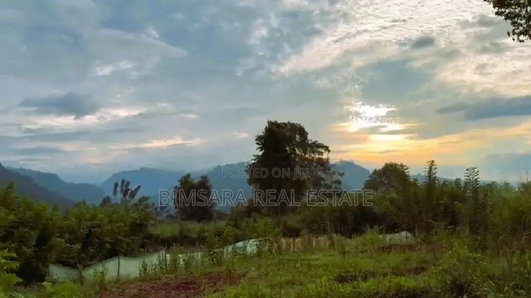 6.5 Acres Agricultural Land for Sale in Ramboda (SL 14353)