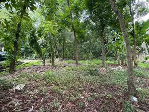 Lake Front Land for Sale Ds6030 - Kotiyagoda