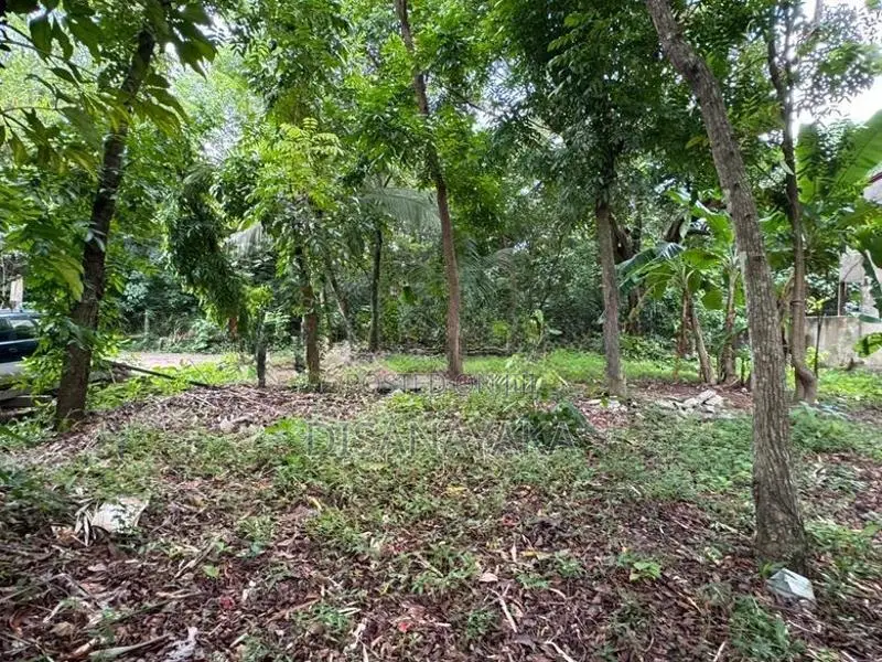Lake Front Land for Sale Ds6030 - Kotiyagoda