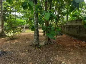 Kelani River Front Land for Sale Ds4425