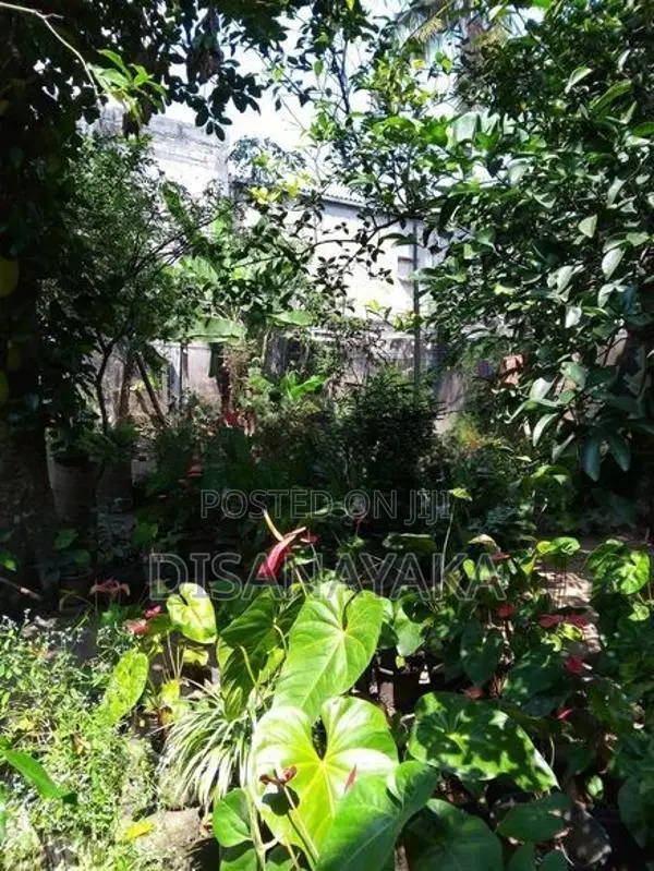 Land with House for Sale Ds7022 - Colombo 8