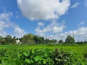 15 Perch Paddy Field View Land on Temple Road, Maharagama (SL 14340)