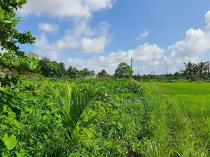 14.2 Perch Paddy Field View Land on Temple Road, Maharagama (SL 14342)