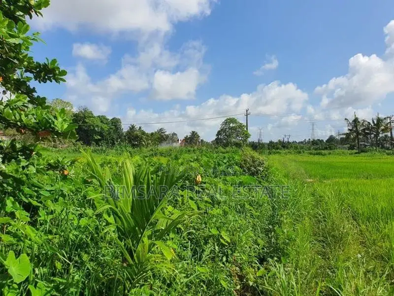 14.2 Perch Paddy Field View Land on Temple Road, Maharagama (SL 14342)