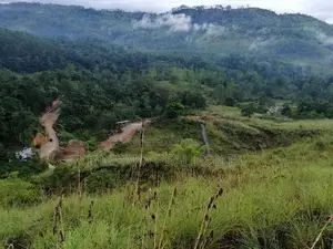 Approximately 50 Acre Land for sale in Lunugala Badulla District|SL134
