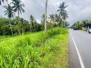 172P Commercial Land for sale Facing Padukka – Horana Main Road