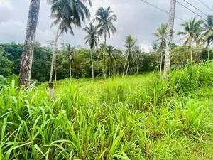 172P Commercial Land for sale Facing Padukka – Horana Main Road