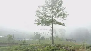 360 View Land for Sale Hattan Road Thalawakalle