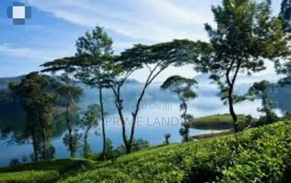 360 View Land for Sale Hattan Road Thalawakalle