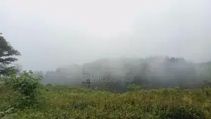 360 View Land for Sale Hattan Road Thalawakalle