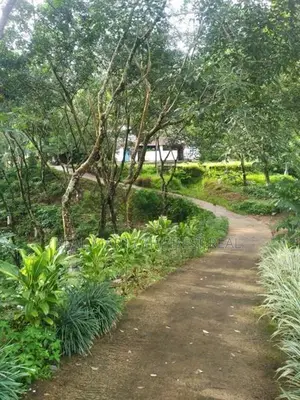 Deraniyagala : 309.51P Highly Valuable Land for Sale