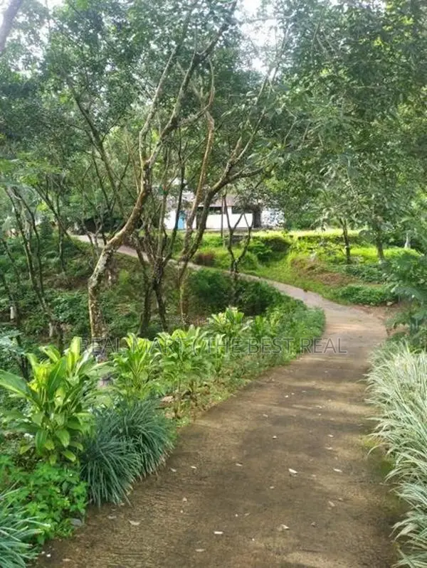 Deraniyagala : 309.51P Highly Valuable Land for Sale