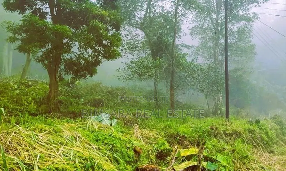 122P Land in the Misty Mountains of Haputale (SL 14373)