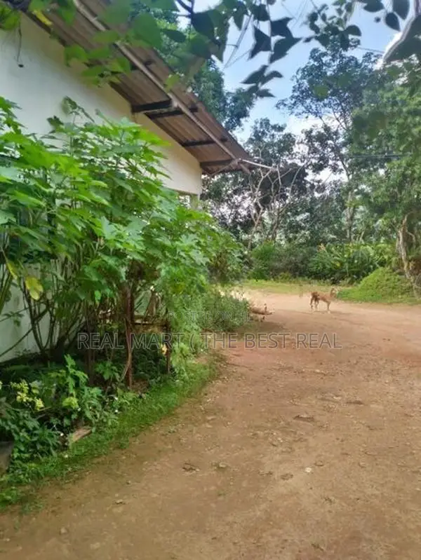 Deraniyagala : 309.51P Highly Valuable Land for Sale
