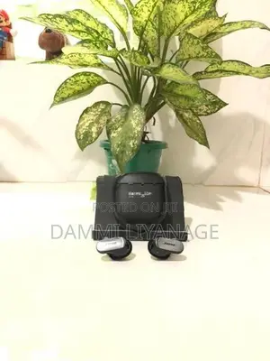 Bose Earpods (Used)