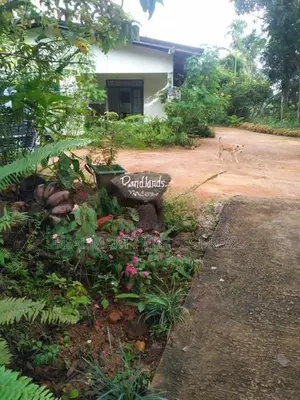 Deraniyagala : 309.51P Highly Valuable Land for Sale