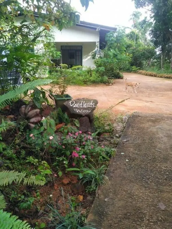 Deraniyagala : 309.51P Highly Valuable Land for Sale