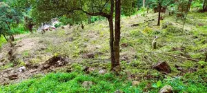 122P Land in the Misty Mountains of Haputale (SL 14373)