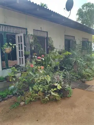Deraniyagala : 309.51P Highly Valuable Land for Sale