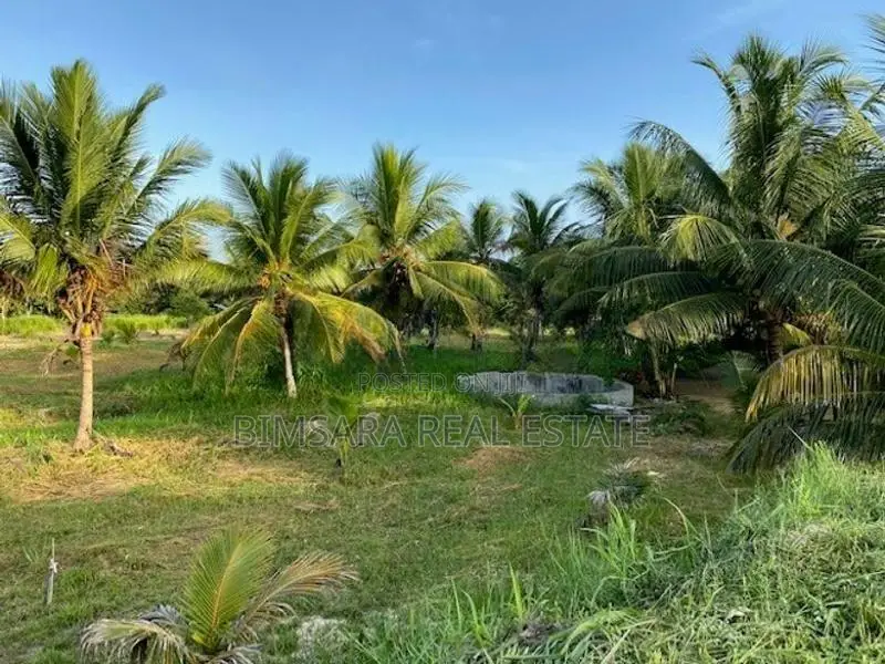 6 Acre Coconut Estate with Bungalow in Nikaweratiya (SL 14365)