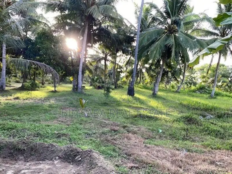 6 Acre Coconut Estate with Bungalow in Nikaweratiya (SL 14365)
