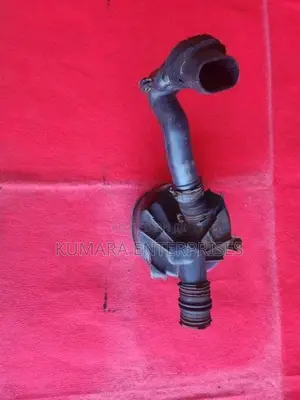 Mazda Browny Air Cleaner
