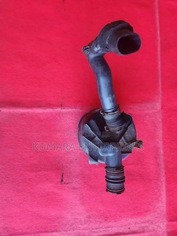 Mazda Browny Air Cleaner