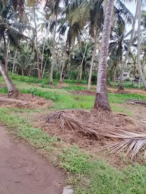 Anamaduwa : 100 Acres Coconut Estate for sale