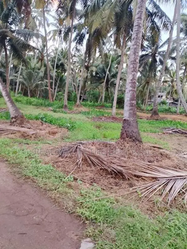 Anamaduwa : 100 Acres Coconut Estate for sale