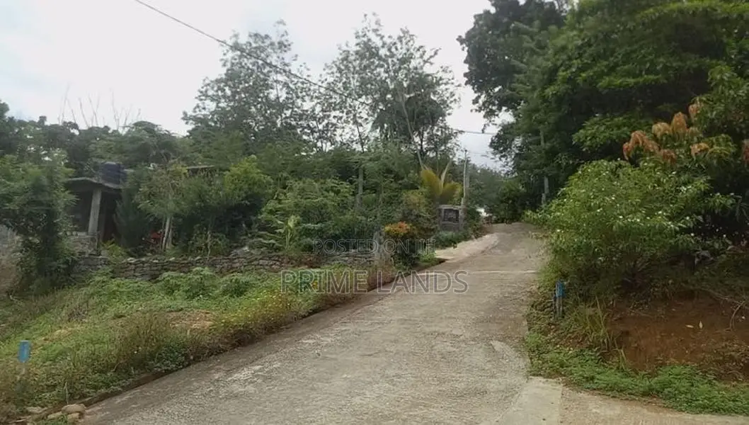 Man Road 100m Land for Sale Mawanella