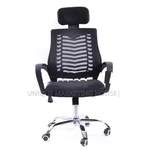 Ex Mesh Zebra Office chair with Head Rest