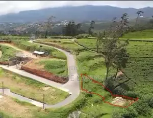 Land for Sale Nuwara Eliya