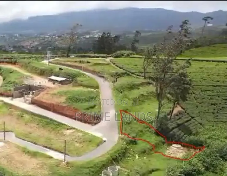 Land for Sale Nuwara Eliya