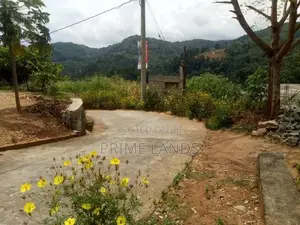 Man Road 100m Land for Sale Mawanella