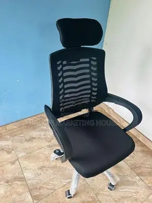 Ex Mesh Zebra Office chair with Head Rest