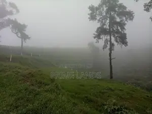 Land for Sale Nuwara Eliya City
