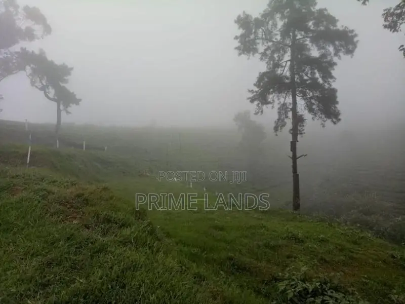Land for Sale Nuwara Eliya City