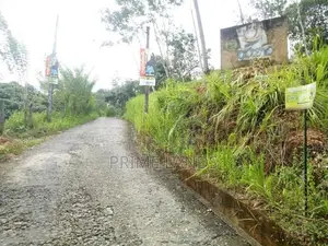 Man Road 100m Land for Sale Mawanella