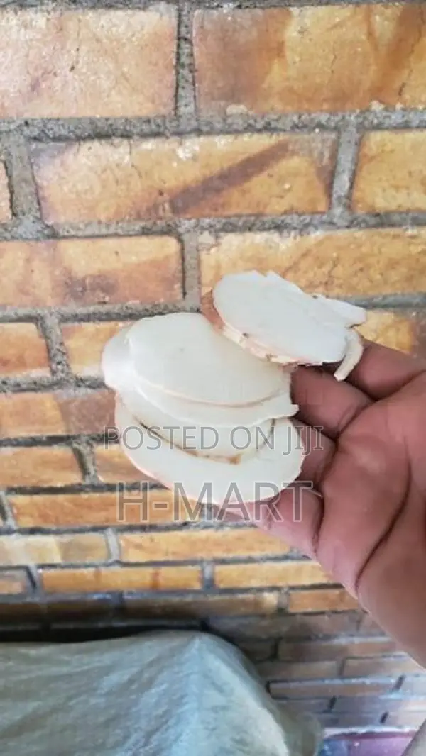 Slicer, Grater Machine Electric with Motor