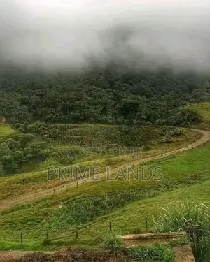 Land for Sale Nuwara Eliya City