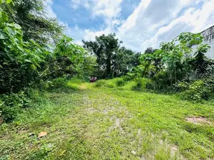 (IP132) 40 p Bare Land Sale At Horahena Road Hokandara Thalawathugoda