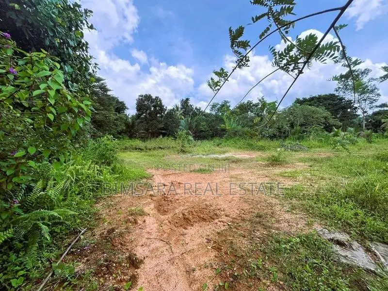 100.73P Land for Sale in Kotigala, Handapangoda (SL 14352)