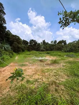 100.73P Land for Sale in Kotigala, Handapangoda (SL 14352)