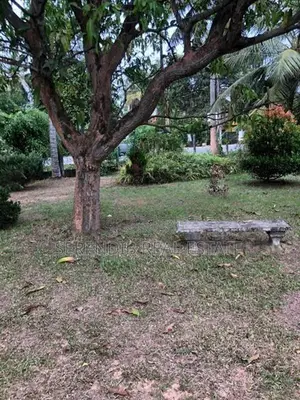 1 Acre Commercial Land Sale Jayela