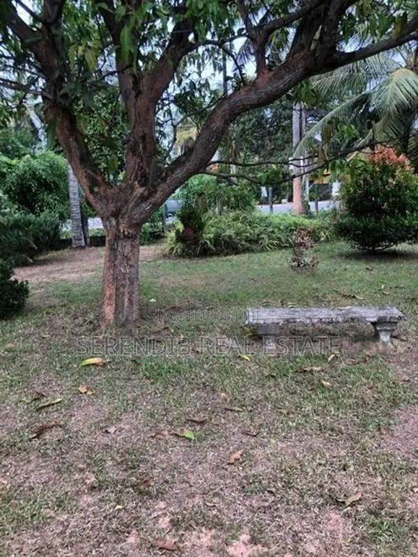 1 Acre Commercial Land Sale Jayela