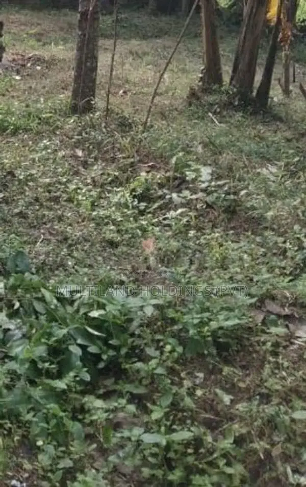 14p land for sale in Kandy