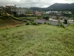 Land for Sale Nuwara Eliya