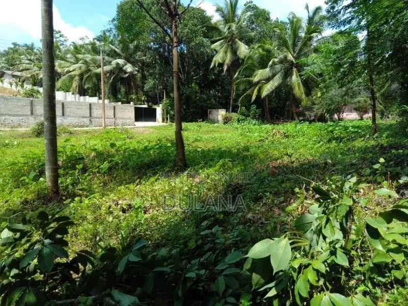 Land for Sale Delgoda