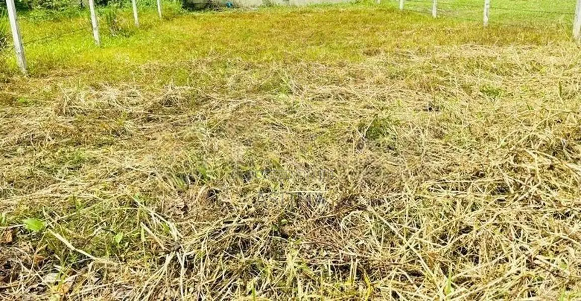9.7 Perch Land for Sale - Boralesgamuwa