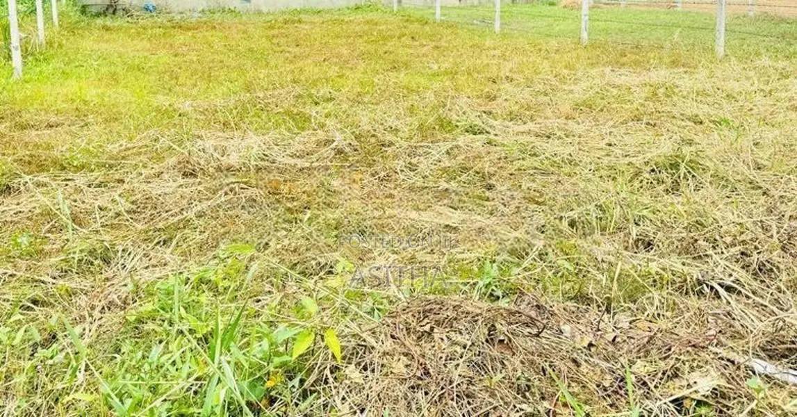 9.7 Square Land for Sale - Boralesgamuwa
